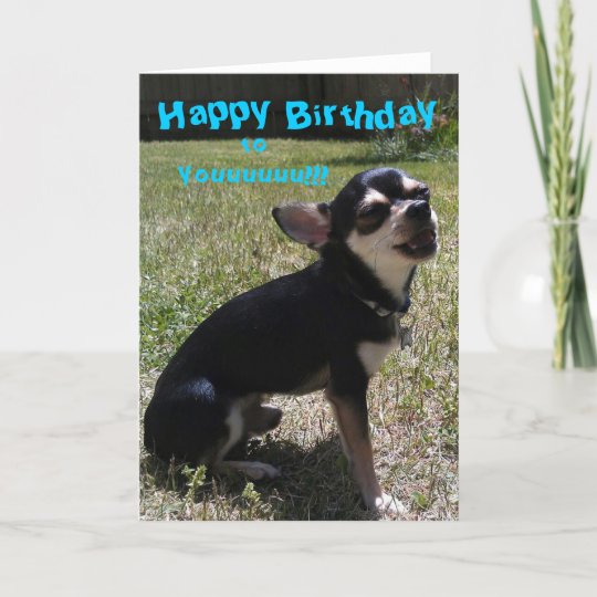 Carte Chihuahua Chante Joyeux Anniversaire Zazzle Fr