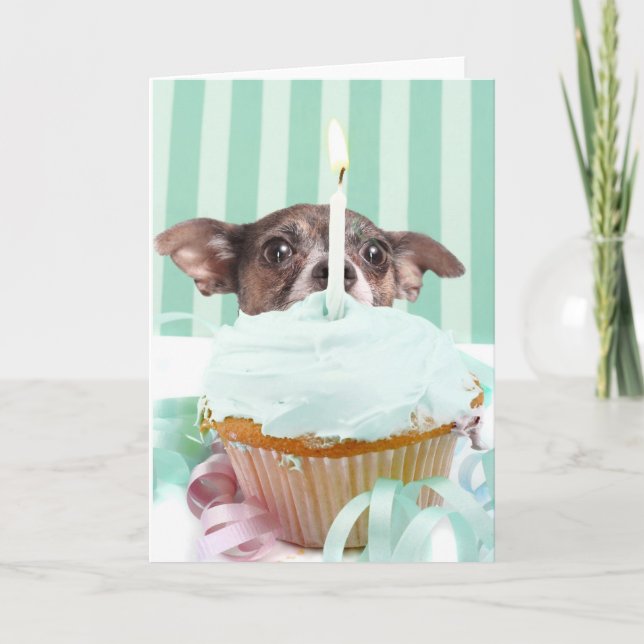 Carte Chihuahua, gâteau d'anniversaire (Devant)