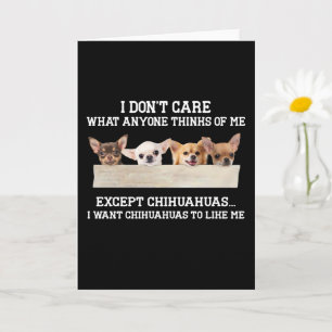 Carte Chihuahua Je Me fiche De Ce Que Les Autres Pensent