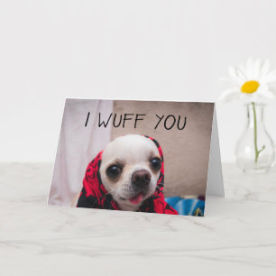 Carte Chihuahua mignon je t'aime d'amour Saint-Valentin