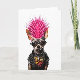 Carte Chihuahua punk rock chihuahua mohawk rose papa chi