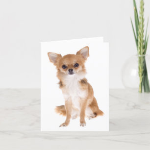 Carte Chihuahua Puppy Dog Blank Notecard