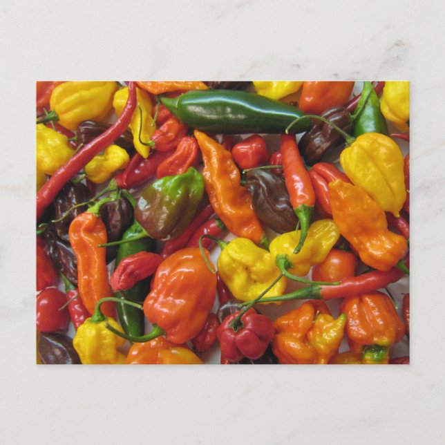 Carte Chilihead (Devant)