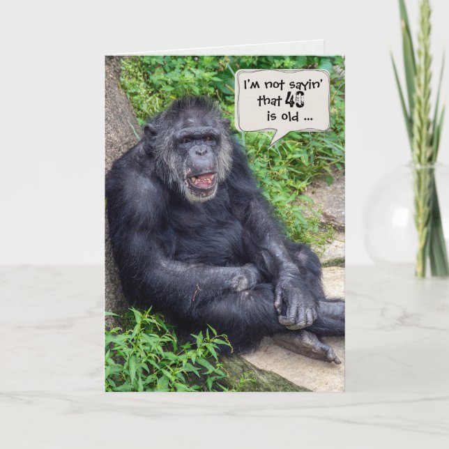 Carte Chimpanzé 40e Humour d'anniversaire (Devant)