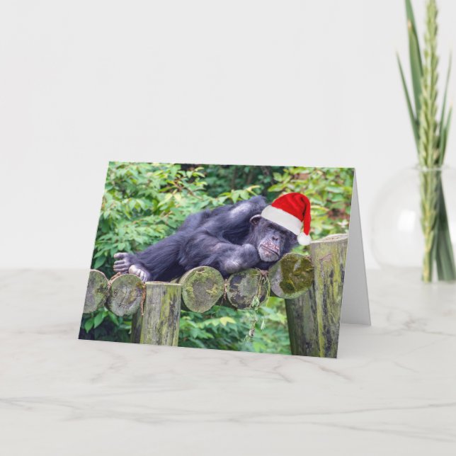 Carte Chimpanzé de Noël avec chapeau de Père Noël (Devant)