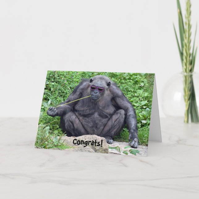 Carte Chimpanzé de retraite avec lunettes de soleil (Devant)