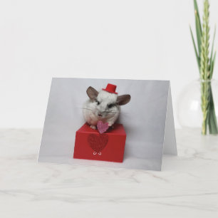 Carte Chinchilla blanc avec chapeau et cœur