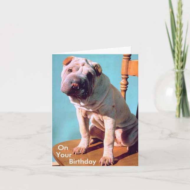 Carte Chinois Shar-Pei (Devant)