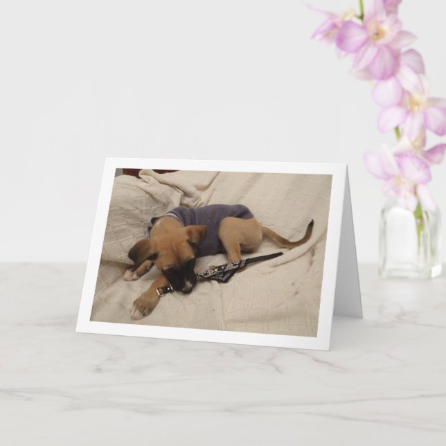 Carte Chiot avec collier pour chien (Orchidée)