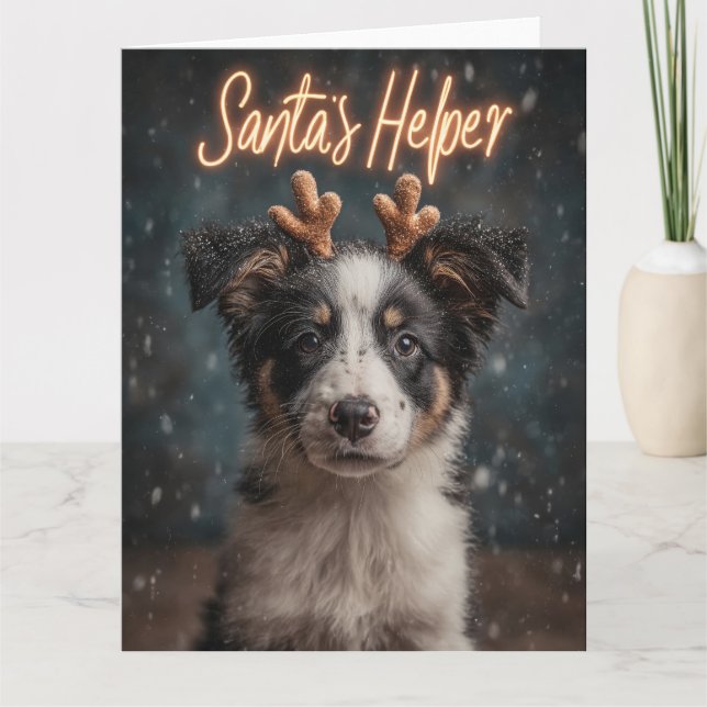 Carte Chiot Border Collie adorable en assistant du Père  (Devant)