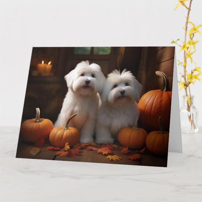 Carte Chiot Coton De Tulear Délice d'Automne Citrouille  (Fleur jaune)
