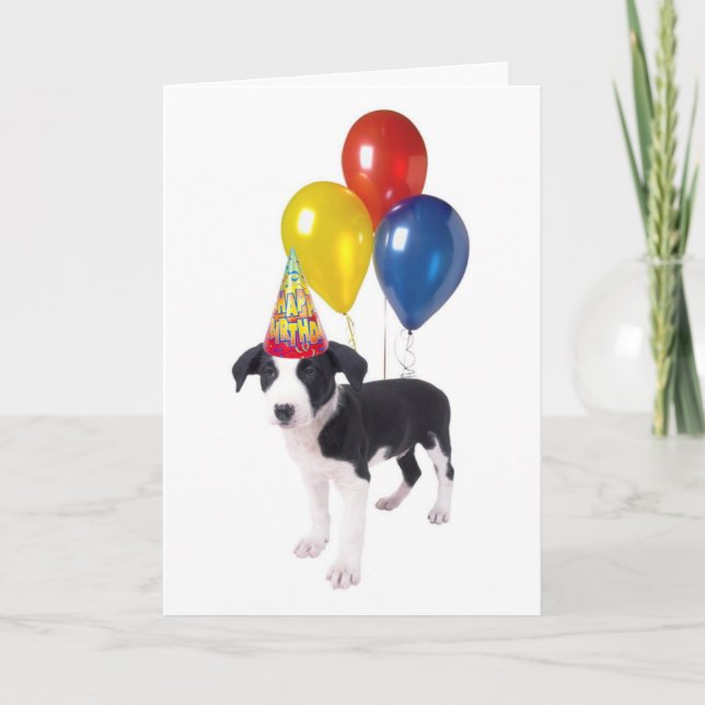 Carte chiot d'anniversaire (Devant)
