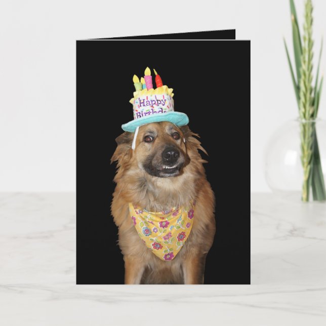 Carte Chiot de berger mignon pour anniversaire de chien (Devant)