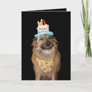 Carte Chiot de berger mignon pour anniversaire de chien