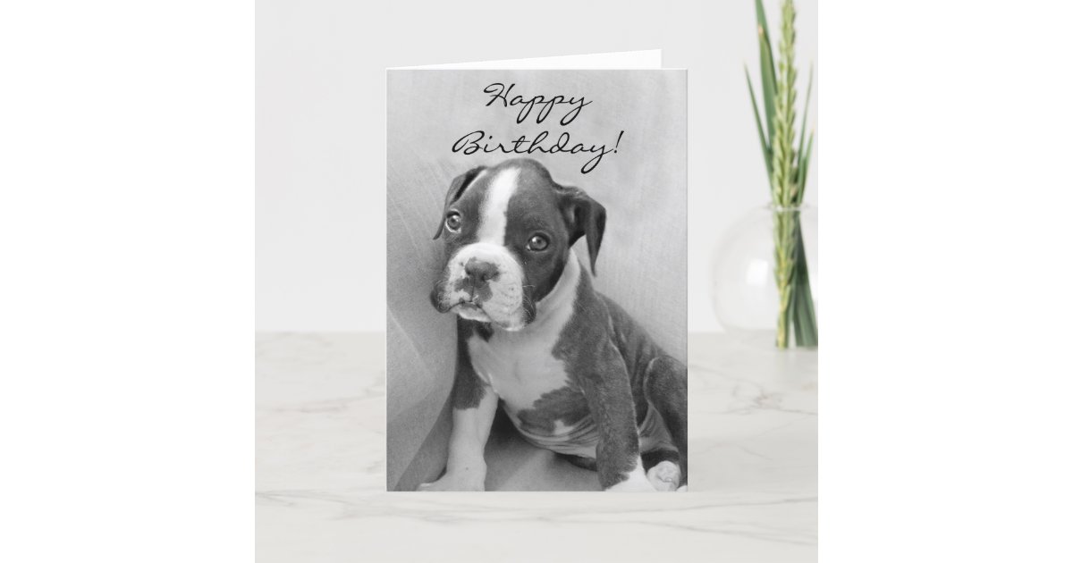 Carte Chiot De Boxeur De Joyeux Anniversaire Zazzle Fr