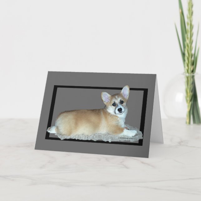 Carte Chiot de corgi de Gallois de Pembroke (Devant)