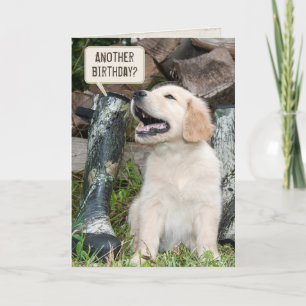 Carte Chiot de golden retriever avec l'anniversaire de