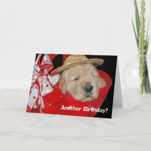 Carte chiot de golden retriever d'anniversaire