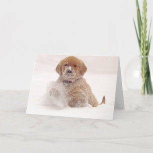 Carte Chiot de golden retriever dans la neige