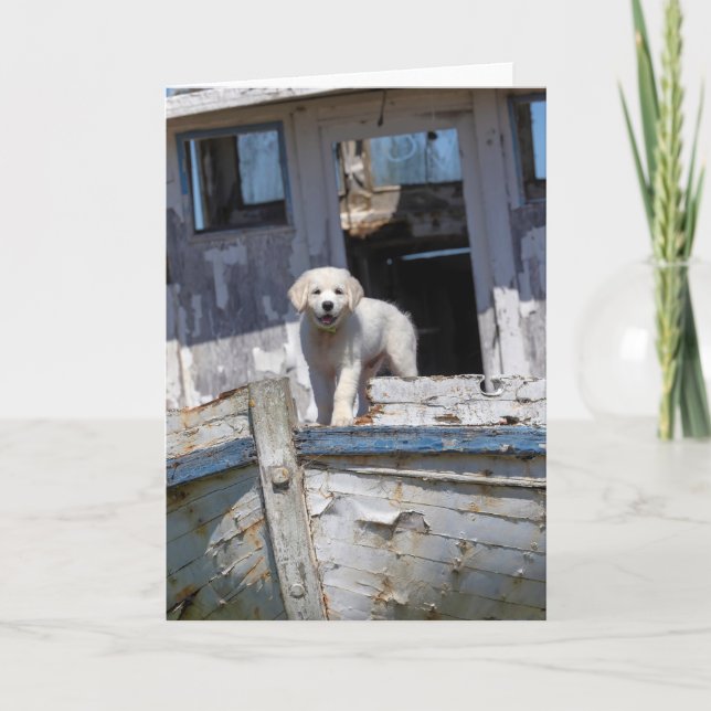 Carte Chiot de golden retriever sur un remorqueur (Devant)