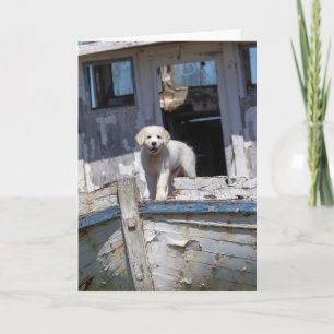 Carte Chiot de golden retriever sur un remorqueur