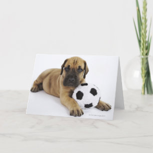 Carte Chiot de great dane avec du ballon de football