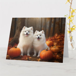 Carte Chiot Esquimau Américain Délice d'Automne Citrouil