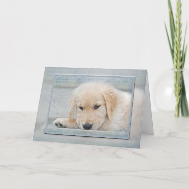 Carte chiot Golden Retriever dans un cadre bleu (Devant)