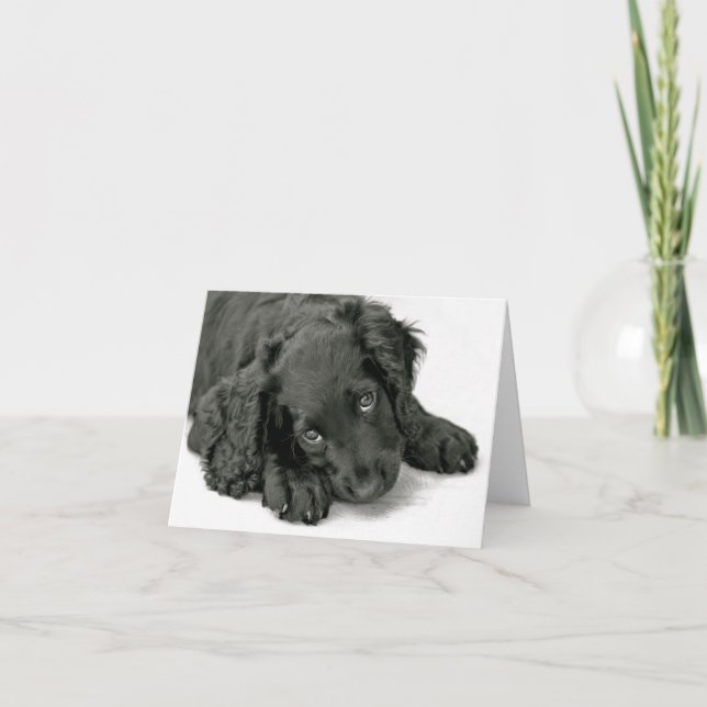 Carte Chiot très mignon (Devant)