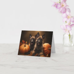 Carte Chiots Berger Belge Délice d'Automne Citrouille