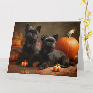 Carte Chiots Bouledogue Français Délice d'Automne Citrou