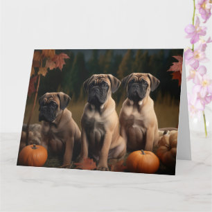 Carte Chiots Bullmastiff Délice d'Automne Citrouille