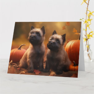 Carte Chiots Cairn Terrier Délice d'Automne Citrouille 
