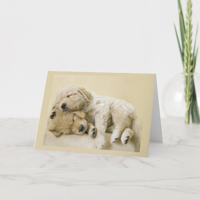 Carte Chiots de Golden Retriever (Devant)