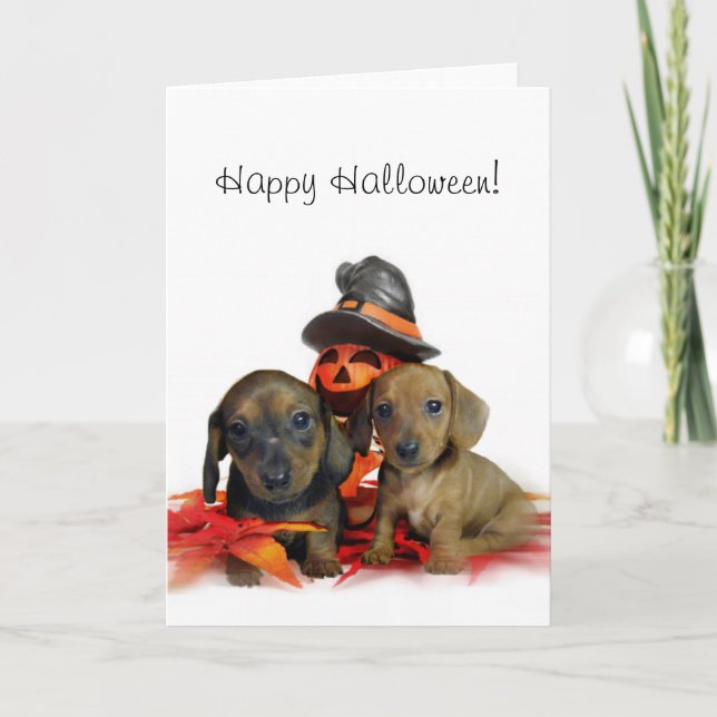 Carte Chiots de Halloween Dachshund (Devant)