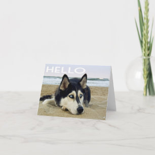 Carte Chiots Husky Sibérien Bonjour, Pensées pour toi