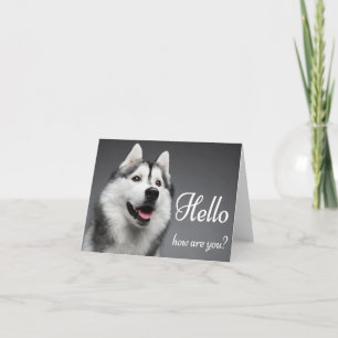 Carte Chiots Husky Sibérien Bonjour, Pensées pour toi
