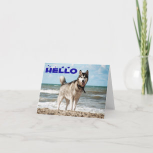 Carte Chiots Husky Sibérien Bonjour, Pensées pour toi