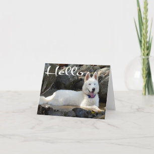Carte Chiots Husky Sibérien Bonjour, Pensées pour toi