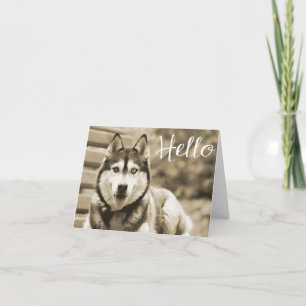 Carte Chiots Husky Sibérien Bonjour, Pensées pour toi