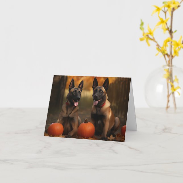 Carte Chiots Malinois Belges Délice d'Automne Citrouille (Fleur jaune)
