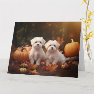 Carte Chiots maltais Délice d'automne Citrouille 