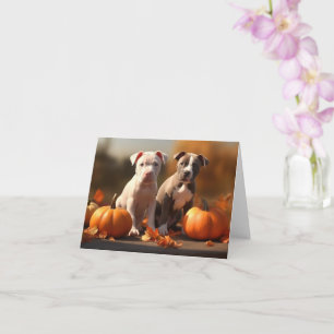 Carte Chiots Pitbull Délice d'Automne Citrouille 