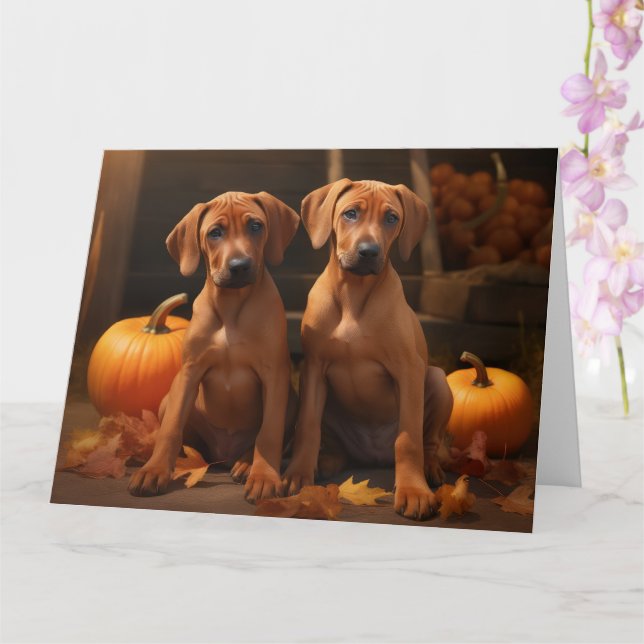Carte Chiots Rhodesian Ridgeback Automne Délice Citrouil (Orchidée)