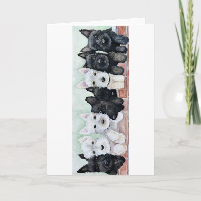 Carte Chiots Scottie (Devant)