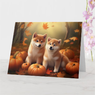 Carte Chiots Shiba Inu Délice d'Automne Citrouille