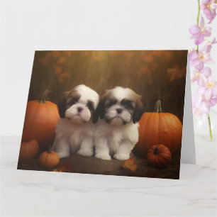 Carte Chiots Shih Tzu Délice d'Automne Citrouille