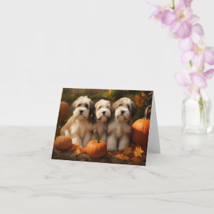 Carte Chiots Terrier Tibétain Délice d'Automne Citrouill