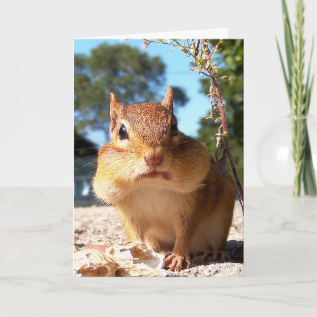 Carte Chipmunk (Devant)