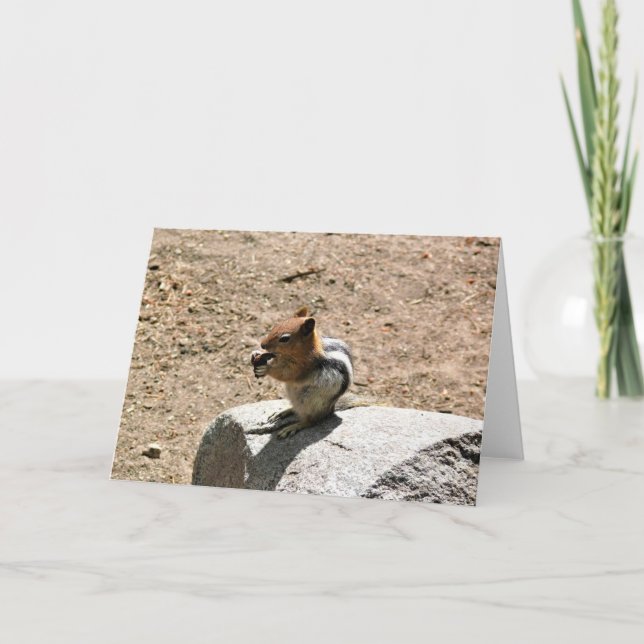 Carte Chipmunk à Yosemite, Californie (Devant)